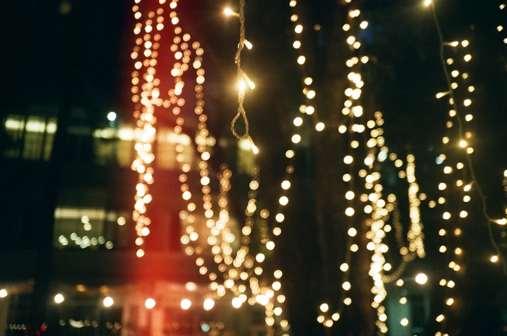 Bokeh String Lights Through Night Trees. Shot with Olympus XA-1