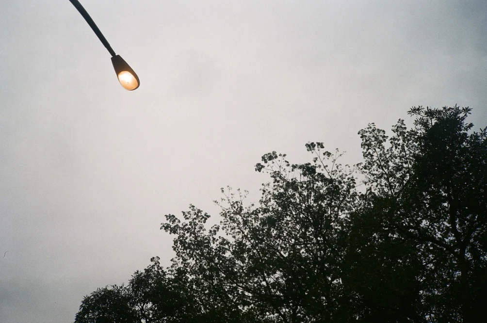 Dusk Streetlamp Above Silhouette Trees. Shot with Olympus XA-1