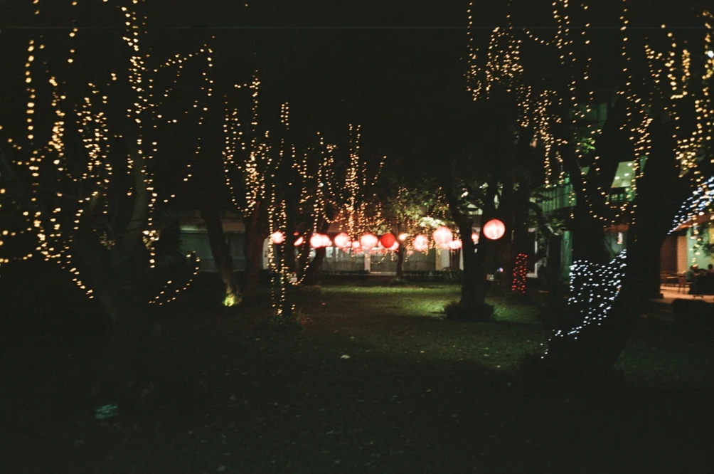 Night Park Lantern Lights. Shot with Olympus Mju I, Kodal Gold 200 film