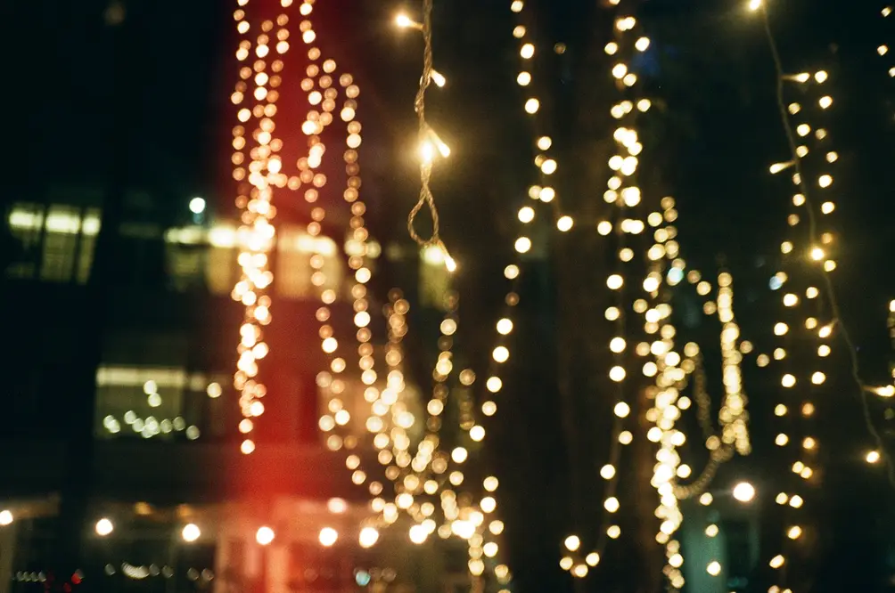 Bokeh String Lights Through Night Trees